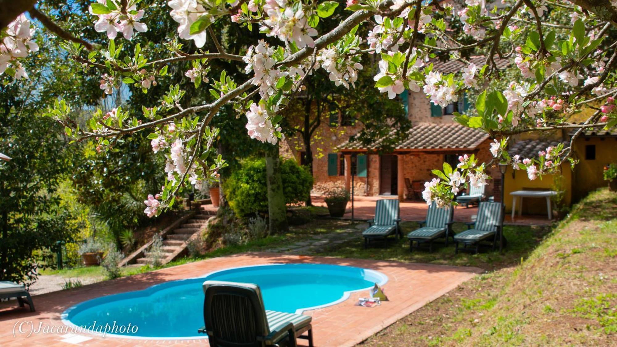 Villa La Pieve Camaiore Exterior foto