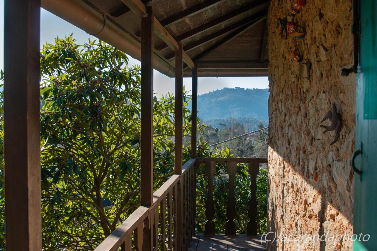 Villa La Pieve Camaiore Exterior foto